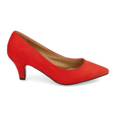 Zapato de Tacón de Estilo Salón