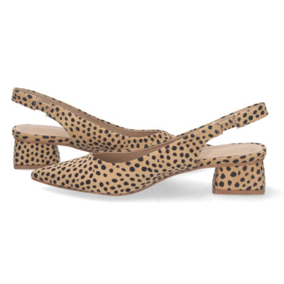 Zapato de Tacon Bajo con Cierre Elastico - Imagen 5