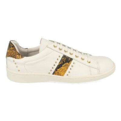 Zapatilla Plana con Cordones - Imagen 2