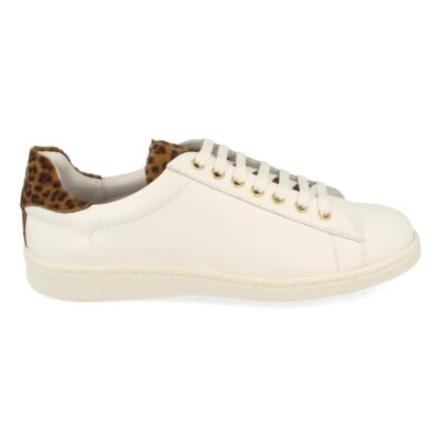 Zapatilla Plana con Cordones - Imagen 2