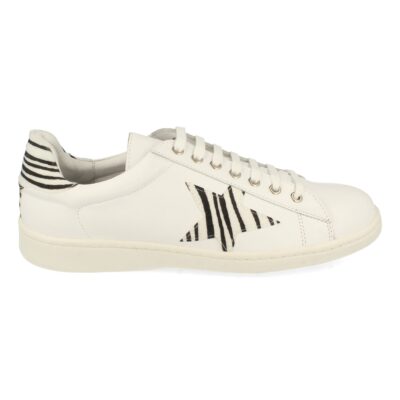 Zapatilla Plana con Cordones - Imagen 2